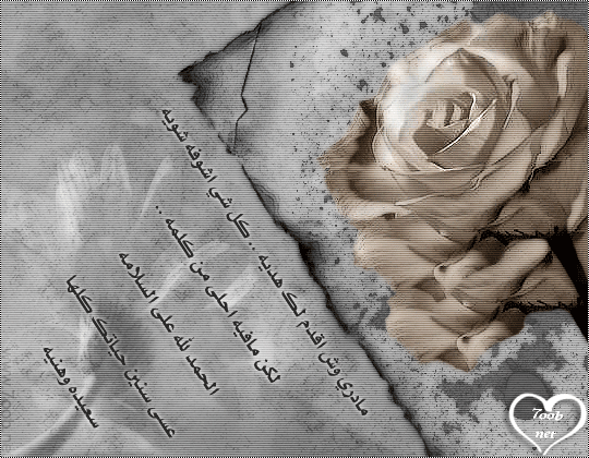 ��� ����� : ���� �� ���� ����� ���� �� ���� �� ������ ������ �� ����� ������ �����